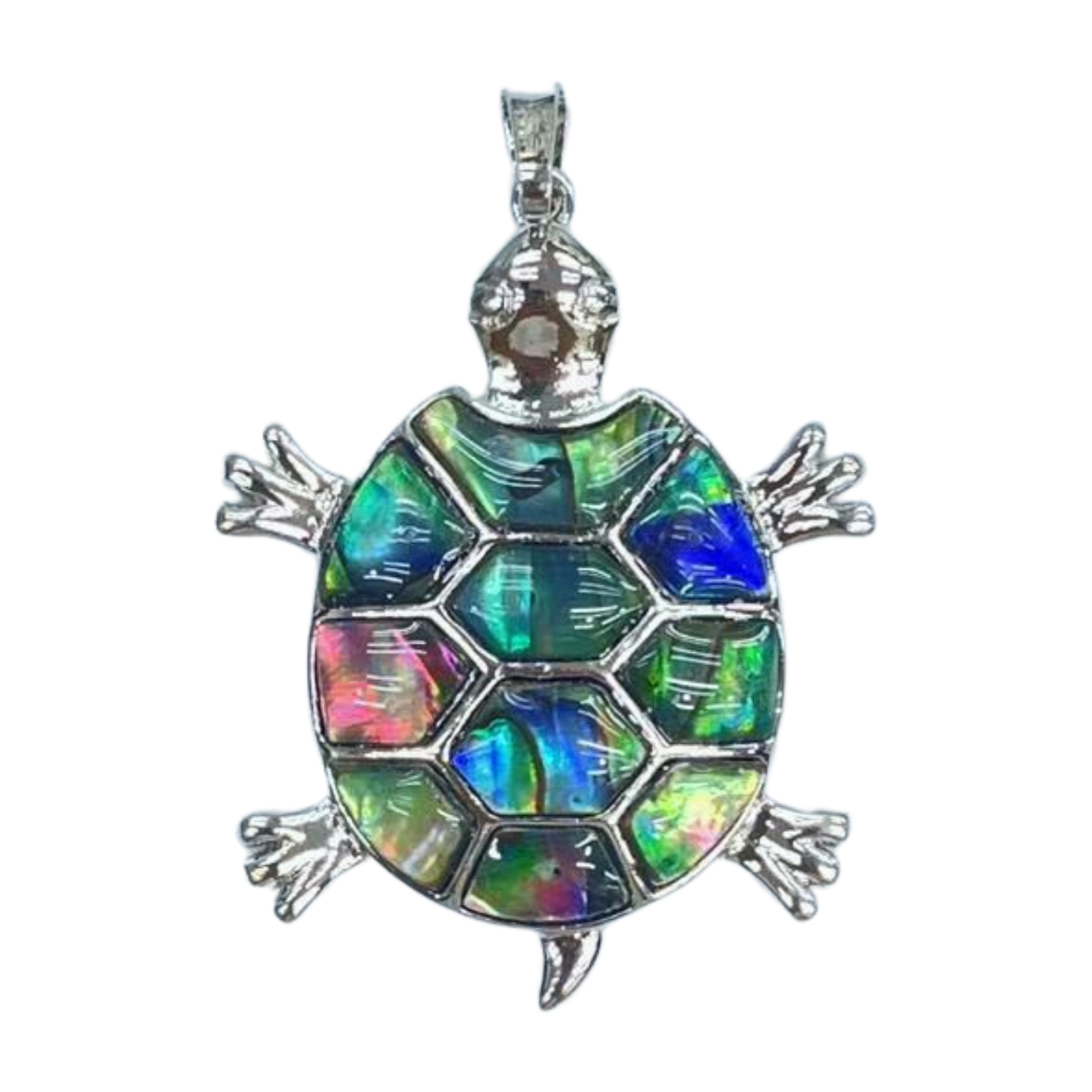 TURTLE ABALONE PENDANT  35X40MM