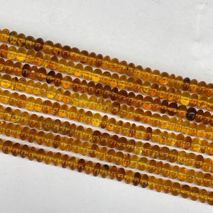 Baltic Amber Roundel 4X6mm 15.5 in strand