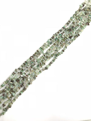 Chrysophase  36 Inch Chips 5X8Mm