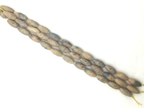 Agate Druzy Blue Gold Rice 8 Inch 8X12Mm