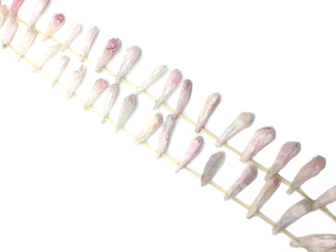 Coated Crystal Quartz Baby Pink Stick 7X30-12X33Mm