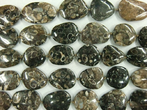 Turritella agate