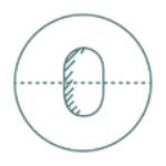 Smooth and Faceted Roundelles