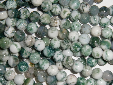 Tree Agate