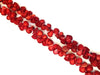 Bamboo Coral Red Free Form 8X10-17X25Mm