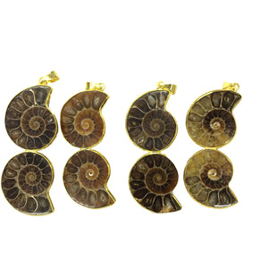 Ammonite couple Pendant 25X50mm