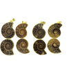 Ammonite couple Pendant 25X50mm