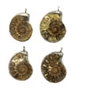 Ammonite Pendant 25X35mm