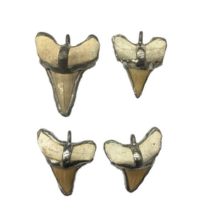 Shark Teeth Pendant 25-45mm