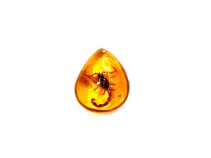 Synthetic Amber Scorpion Pendant 40X55Mm