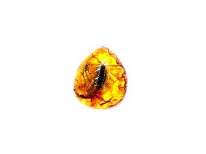 Synthetic Amber Scorpion Pendant 45X58Mm