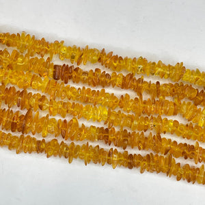 Baltic Amber Irregular Thin Slice 10-14mm
