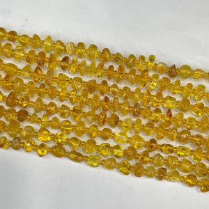 Baltic Amber A Grade Freeform 6X9mm 15.5 in strand