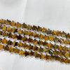 Tiger Eye Star Shape 10mm