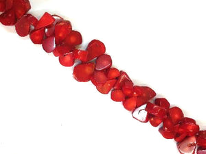 Bamboo Coral Red Free Form 10X14-20X25Mm