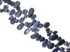 Sodalite Free Form 11X20-18X39Mm