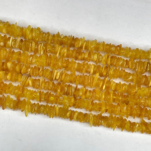Opaque Baltic Amber Irregular Thin Slice 10-14mm
