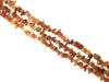 Carnelian Free Form 3X10-5X25Mm