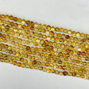 Baltic Piebald Amber Round Beads 5mm 15.5 in strand