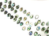 Abalone Teardrop 13X18Mm