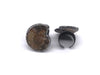 Screw Fossil Ring 30x35mm