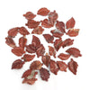 Red Jasper Freeform carved leaf pendant 18-30mm (hole driled on top)