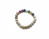 Matte Petoskey Jasper 7 Chakras Bracelet 6mm