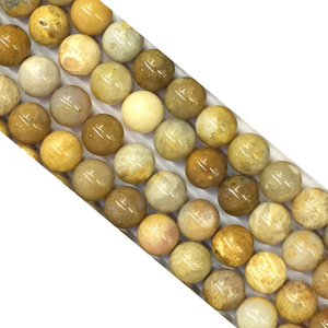 Fossil Coral Jasper Round Beads 12Mm