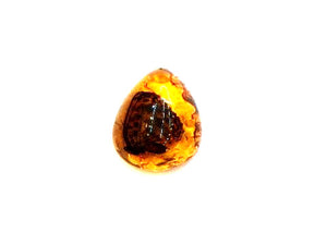 Synthetic Amber Butterfly Pendant 45X58Mm