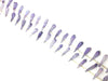 Coated Crystal Quartz Pansy Stick 7X30-12X33Mm